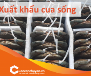 Thủ Tục Xuất Khẩu Cua Sống , Cua Cà Mau